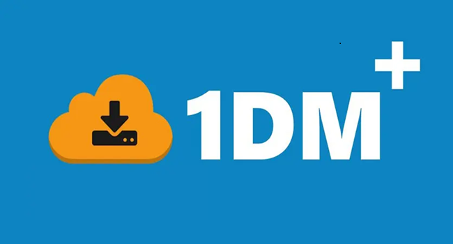1DM+